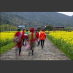 黄龙之春