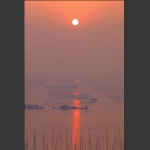 曰出