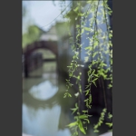 春意
