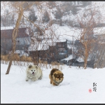 浅墨淡彩画意松岭