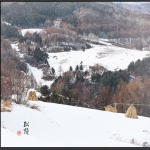 浅墨淡彩画意松岭