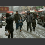 雪中掠影