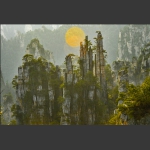 金盘御笔+陈仲德+13641270128