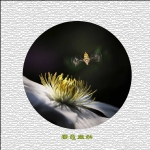 春意盎然