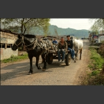 赶集路上