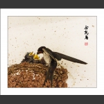 念亲恩