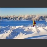 踏雪寻淞