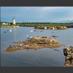 北戴河5