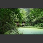 绿，为它坚守.