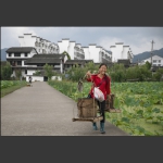 新农村