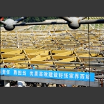 架 构