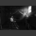 《豆蔻书香》