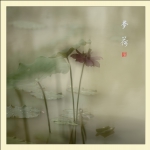 梦荷