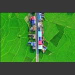 多彩家园