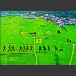 美丽家园