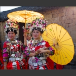 美貌如花