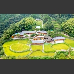 美丽的家园