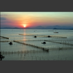 海湾夕照