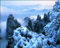 雪染的风采
