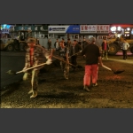 争先恐后{手机摄