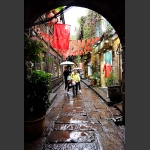 雨 巷