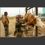 老手艺挂牛掌