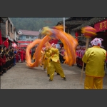 舞龙欢庆