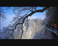 绝壁雪