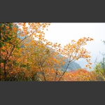 崇山3
