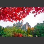 风景这边独好