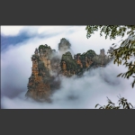 天子山云雾