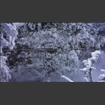 雪中栈道