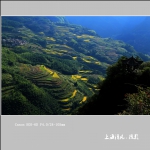遂昌风景_1261