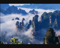 天子山云海