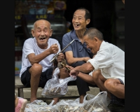 《温塘的场》