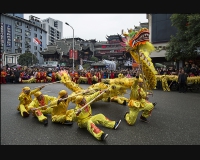 龙舞新春
