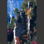 山花烂漫