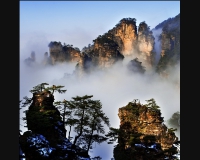 后花园