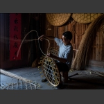要发家不离8