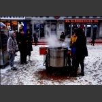 雪中薯飘香