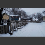 雪村的篱笆墙