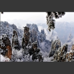 天子山雪景
