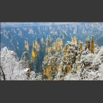 雪后天子山