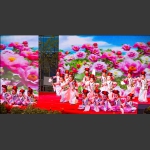 祖国的花朵