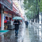 风雪无阻
