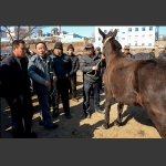 别犹豫了，价钱不高！