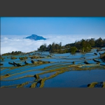 五彩梯田