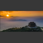 海棠日出