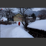 雪村倩影