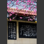 春来了